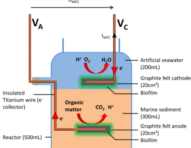 Figure 1: Schematic diagram of the in-situ MFC 