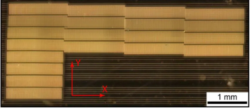Fig. 1. Image of Y-oriented Z + stripes domain written by electron beam irradiation on the Z − LN surface of a sample containing channel waveguides along the X axis.