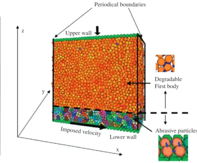 Fig. 2. Description of the simulated domain.