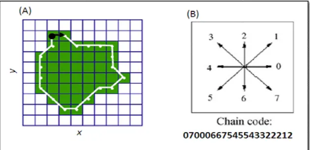 Figure 7: Création d’une chaine de code à partir d’une image fractionnée. A, Image fractionnée binarisée B, chaine de code (à huit situations) commençant depuis le point noir à gauche