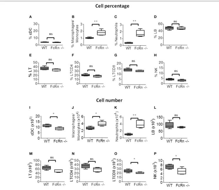 FIGURE 3 | Flow cytometry of leukocytes in the spleen of WT (n = 5) and FcRn −/− (n = 5) mice injected, in the tail vein, with 1 × 10 5 B16F10 tumor cells in 100 µl medium