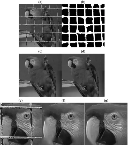 FIGURE 6. Free the parrot by removing the cage. (a) Original. (b) Mask (missing pixels are in white)