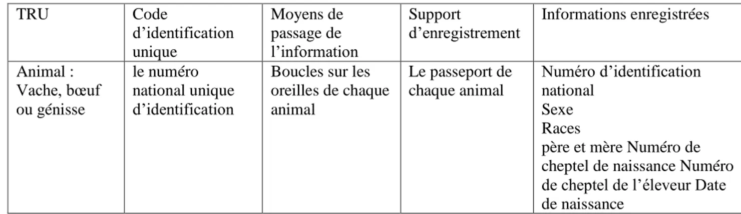 Tableau 1 : étapes et identifications dans la filière bovine. 