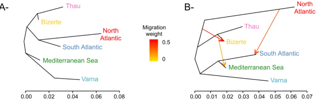 Figure  3  Population  trees  inferred  by  TREEMIX  (A)  without  or  (B)  with  3  migration  events