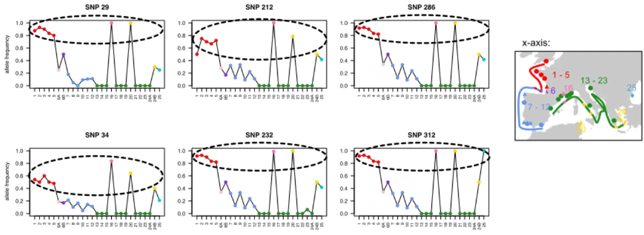 Figure  4  H. guttulatus  allele  frequencies  (y-axis)  for  the  six  outliers  with  very  similar  high  allele  frequency