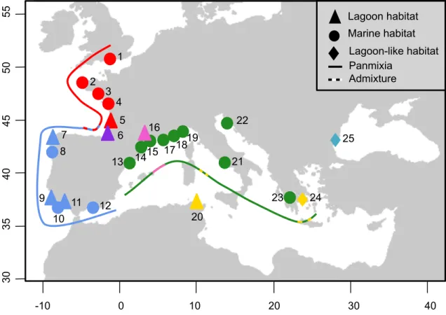 Figure 1 Sampling locations of Hippocampus guttulatus. Each study site is labeled as follow: 1-  Poole,  United  Kingdom,  2-  Brest,  France,  3-  Le  Croisic,  France,  4-  Ré  Island,  France,  5-  Arcachon, France, 6- Hossegor, France, 7- Coruna, Spain