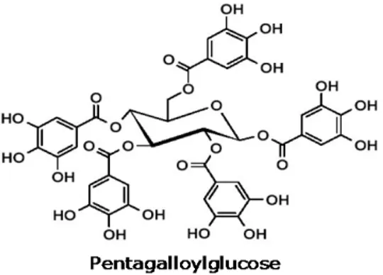 Figure 3: structure chimique de  la  coumarine .