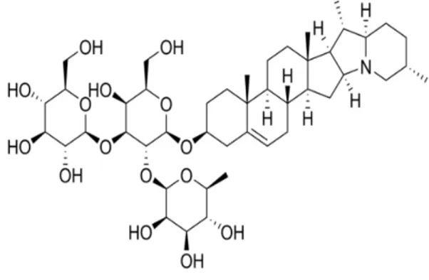 Figure 5 : Structure chimique d’une saponine.   