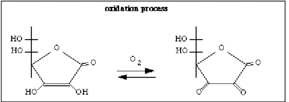 Figure 9 : Mécanisme d'oxydation de l'acide ascorbique (Steinberg et Rucker, 2013).