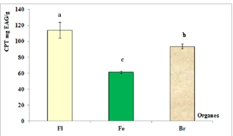 Figure 2 :  Teneurs des extraits aqueux de T. hirsuta en composés phénoliques totaux (Fleurs, = Feuilles  et  Brindilles)