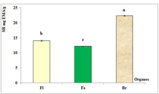 Figure  10 :  Teneurs  en  sucres  réducteurs  des  extraits  aqueux  de  T.  hirsuta  (Fleurs,  Feuilles  et  Brindilles)