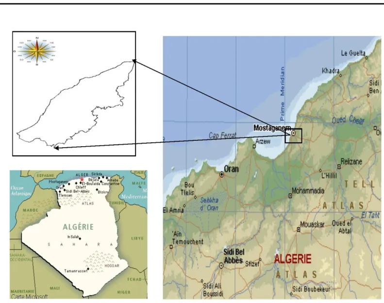 Figure 01 : Limites géographiques de la wilaya de Mostaganem. 