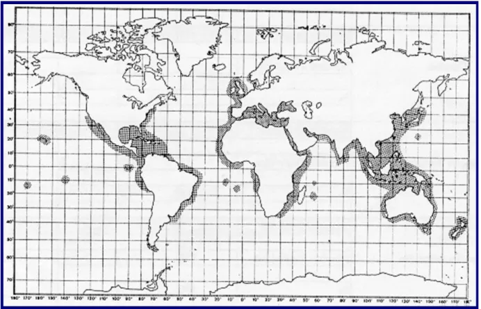 Figure 08 : Distribution géographique du Maquereau espagnol (Colette et Nauen, 1983 ) 