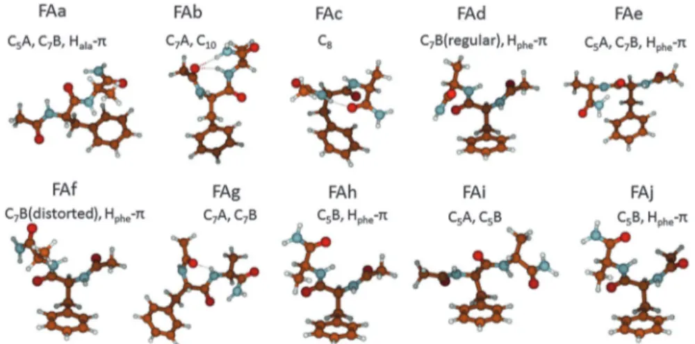 Fig. 5 Nomenclature of non-covalent interactions in FA structures.