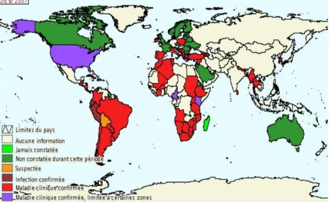 Figure N°1 : La situation mondiale de la brucellose bovine du janvier à juin 2007 (OIE, 2007)  5