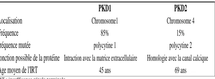 Tableau n°2 : les caractéristiques associées aux mutations des gènes PKD1 et PKD2 