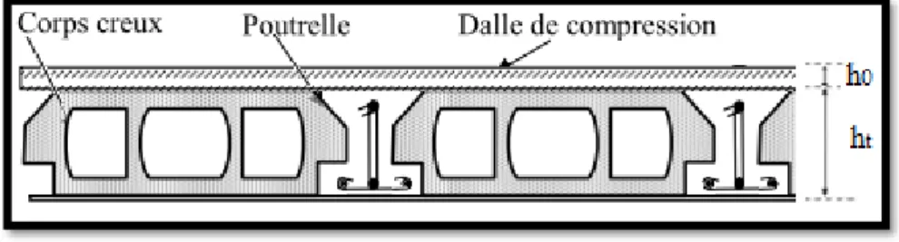 Figure II. 3.Coupe transversale d’un plancher à corps creux. 