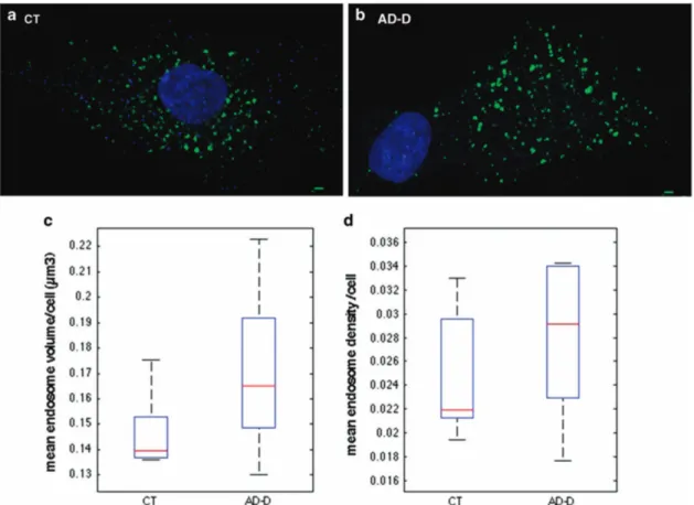 Figure 4. Endosomal abnormalities are present in ﬁ broblasts from individuals with AD-D