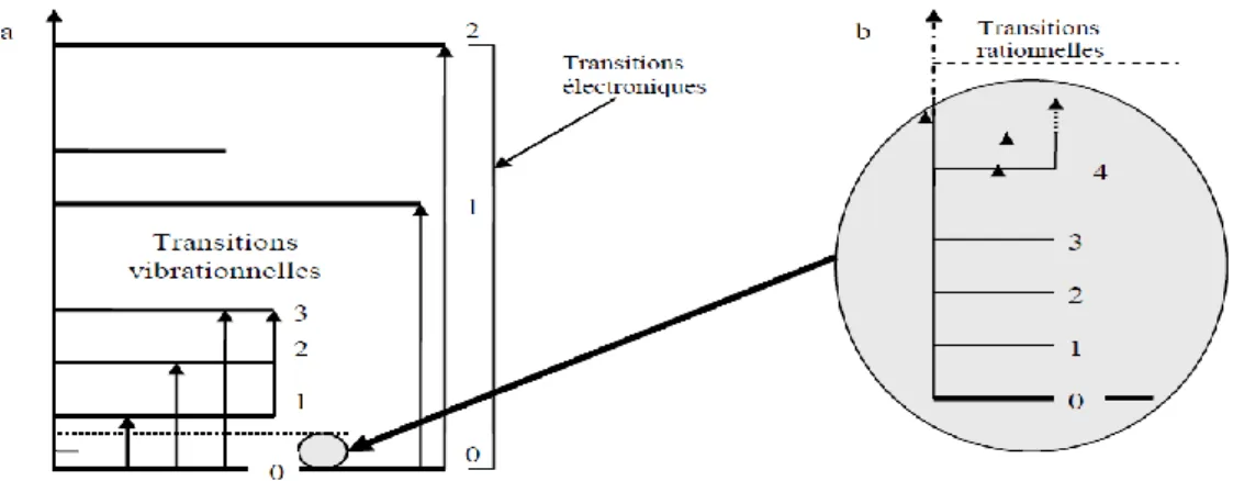 Figure 10. États stationnaires des énergies électronique et vibrationnelle (a) et rotationnelle   (a et b) et transitions entre les niveaux correspondants [ 60 ] 