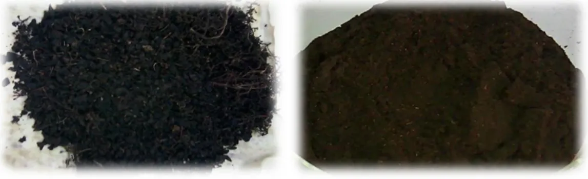 Figure 15. Image de produit brute du marc de raisin  avant et après  III.1.2.Préparation d’un charbon actif  