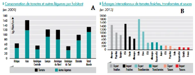 Figure 3: Production mondiale de tomate : Consommation de tomate et l’autre légume  par habitant (A) (FAOSTAT, 2014) et échanges internationaux de tomate fraiches,  transformées et sauces (B) (UN Castard, 2014)