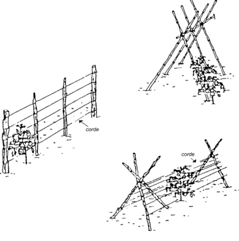 Figure 12 : Différents types de clôtures d’appui 