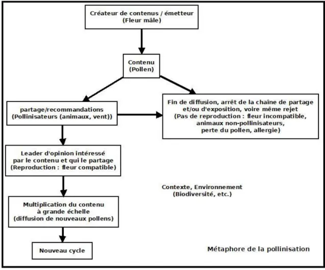 Figure 1 Schéma de diffusion par pollinisation 