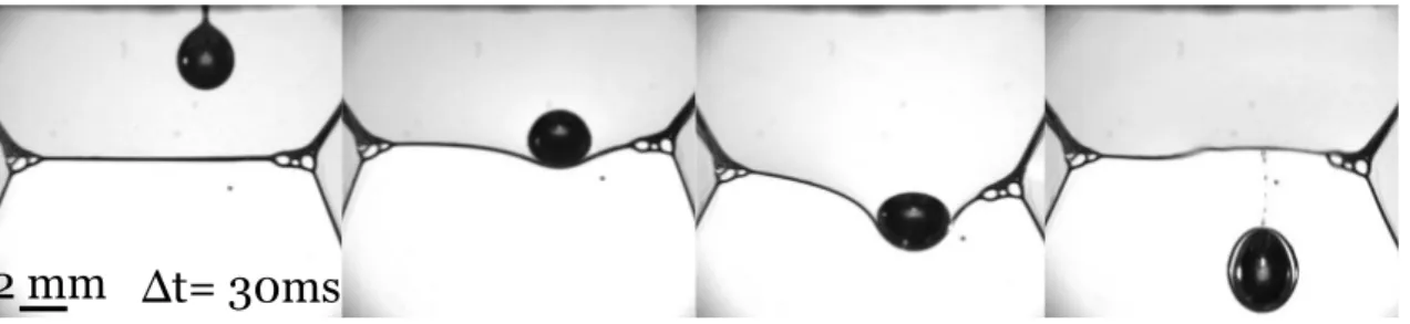 Figure 3.2 – Formation d’une antibulle dans le film sous le bord de Plateau lors de la traversée d’une goutte [103]