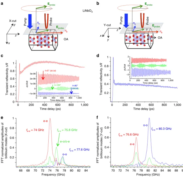 Figure 5 | Ultrafast elasto-optic mode conversion in X- and Y-cut LNO. Sketch of the pump–probe experiment carried out on X- (a) and Y-cut (b) LNO crystal