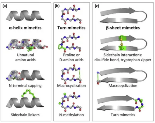 Figure  17:  Stabilization-techniques  of  peptide  secondary  structures  a)   -helices  b)  turns  c)   - -sheets