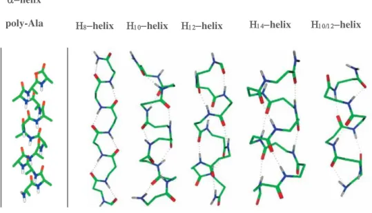 Figure 21.: Helical secondary structures of   -peptides compared to   -helix poly-Ala