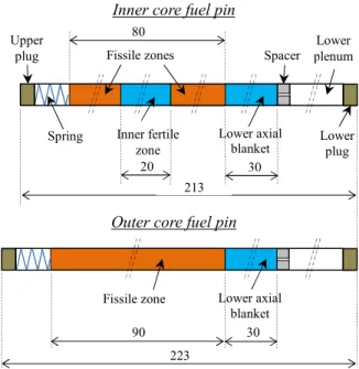 Fig. 3. Fuel pins composition (dimensions in cm). 