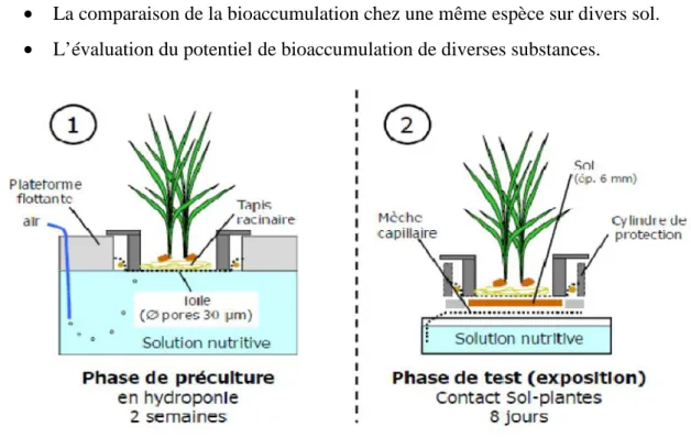 Figure 11 : Procédure expérimentale du  RHIZOtest en deux &amp;tapes successives (ISO 16198).