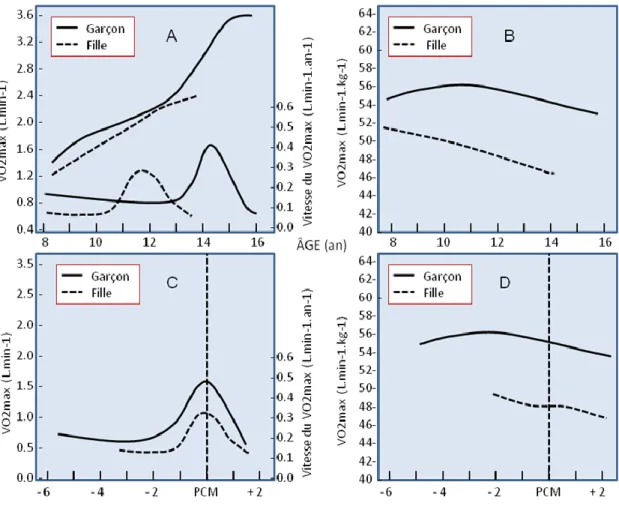 Figure n°03 : La vitesse du VO₂MAX durant l’adolescence  L’endurance aérobie 