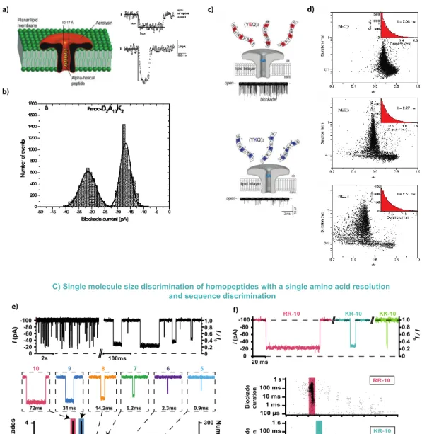 Figure  8:  Peptide  detection  through  the  aerolysin  nanopore:  from  secondary  structure  characterization  to  size/sequence  identification  and  discrimination