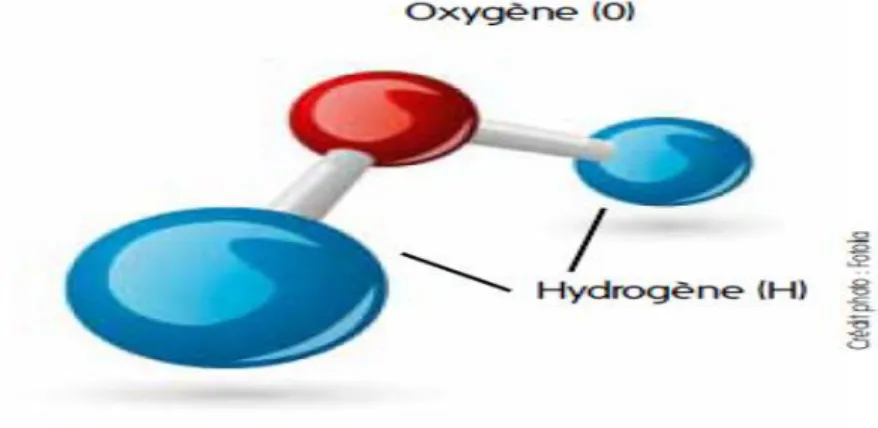 Figure 01: structure de la molécule d’eau 