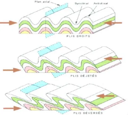Figure  6:  Différents  types  de  plis  sous  l'effet  de  contraintes  de  compression  (Internet:  ggl.ulaval.ca,  2005) 