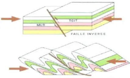 Figure 7: Différents types de failles sous différents régimes de contraintes (Internet: ggl.ulaval.ca, 2005)  Par  convention,  on  nomme  toit  le  compartiment  qui  se  situe  au-dessus  du  plan  de  faille,  et  mur  celui  qui  est  au-dessous