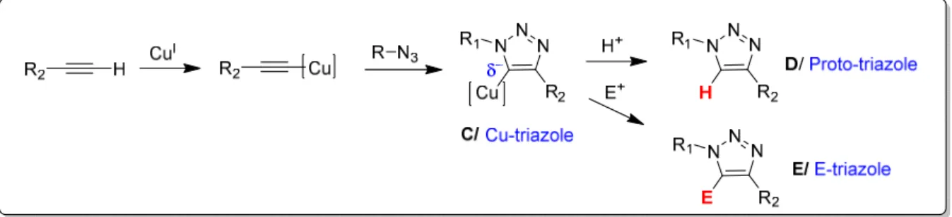 Figure 18 : Premier mécanisme pour les réactions impliquant des alynes terminaux