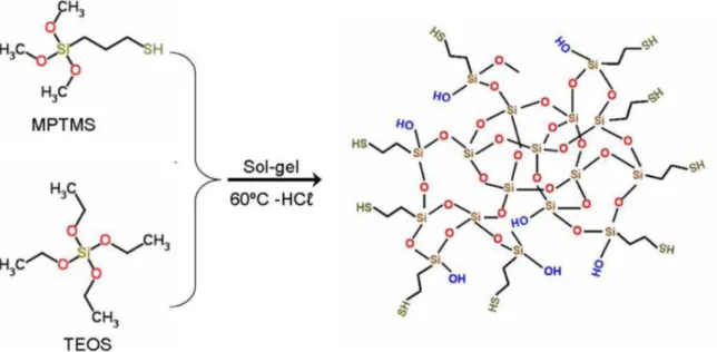 Figure 1 : Schéma illustratif de l'hydrolyse et de condensation simultanée du  TEOS et MPTMS 