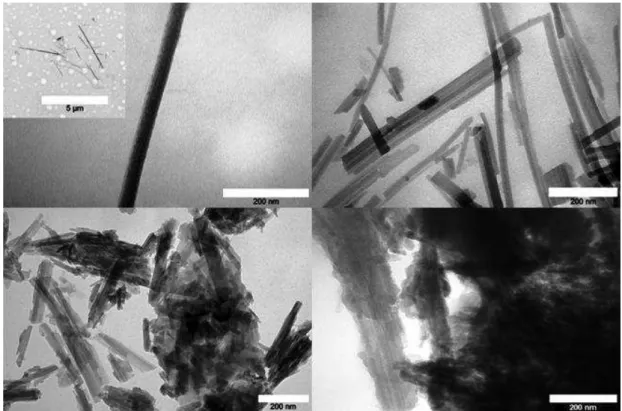 Figure 19: Micrographies de TEM avec une échelle de 200 nm pour les sépiolites  (a): (b); (c) et (d) 