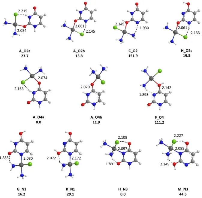 Figure  3.  Representative  structures  obtained  for  the  cis-[PtCl(NH 3 ) 2 (U)] +   complexes