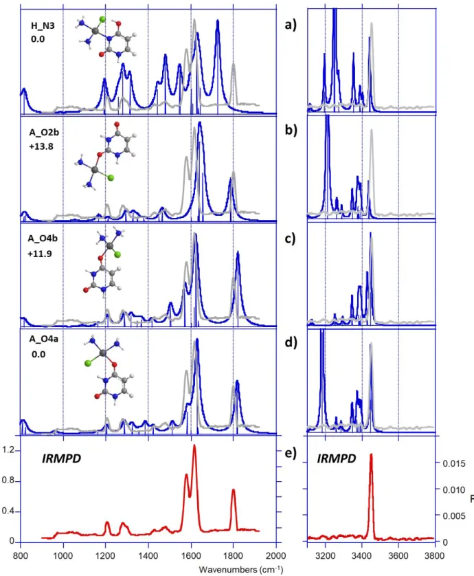 Figure 7.  (e) IRMPD spectrum ofcis- [PtCl(NH 3 ) 2 (U)] + compared with DFT-computed IR absorption  spectra (a–d) of some relevant structures