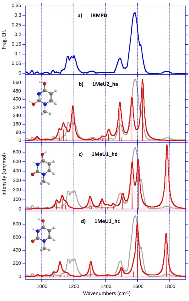 Figure 3  00,05 0,10,150,20,250,30,35 1000 1200 1400 1600 1800d)       1MeU1_hcc)       1MeU1_hdb)       1MeU2_haa)       IRMPD02004006008000801602403204004805600100200300400500600Wavenumbers (cm-1)Intensity(km/mol)Frag