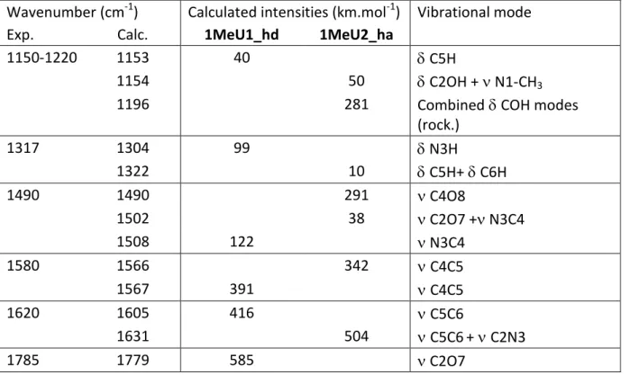 Table  1:  Experimental  IRMPD  spectrum  of  protonated  1-Methyluracil  compared  with  computed vibrational modes for the 1MeU1_hd and 1MeU2_ha structures 
