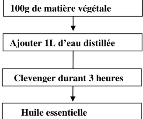 Figure 6: Méthode d’extraction des huiles essentielles (Hemeda et klein ; 1990)  100g de matière végétale 