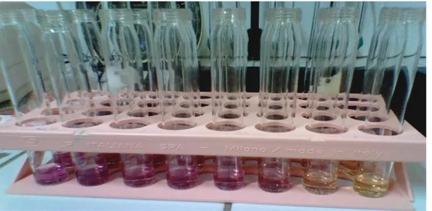 Figure  8:  Réduction  de  radical  DPPH  (de  couleur  violette  au  diphényl  picryl-hydrazine  (de  couleur jaune)