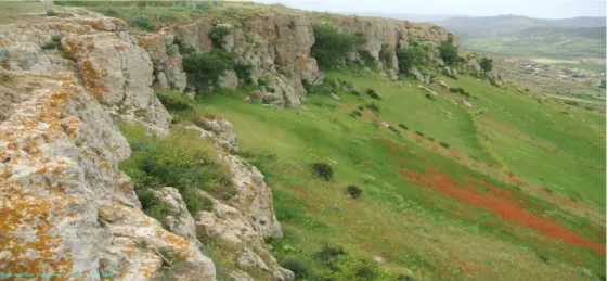 Figure 04 :Montagne de kalaa de Sidi Aissawilayade Chlef(Photo originale,2018) 