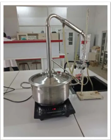 Figure 10 : L’extraction par entrainement à la vapeur  (Photo originale, 2018). 