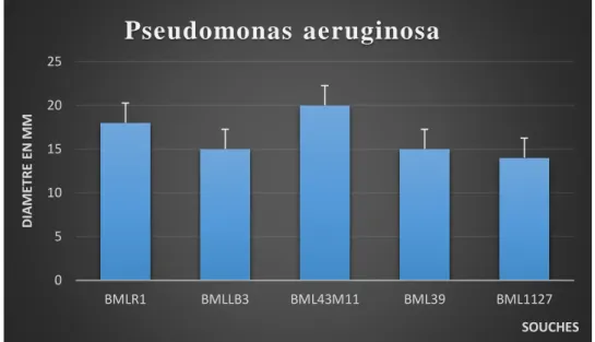 Figure 07 : Résultats de l’effet antagoniste des bactéries lactiques vis-à-vis des bactéries    pathogènes comme des indicateurs selon la méthode des puits 